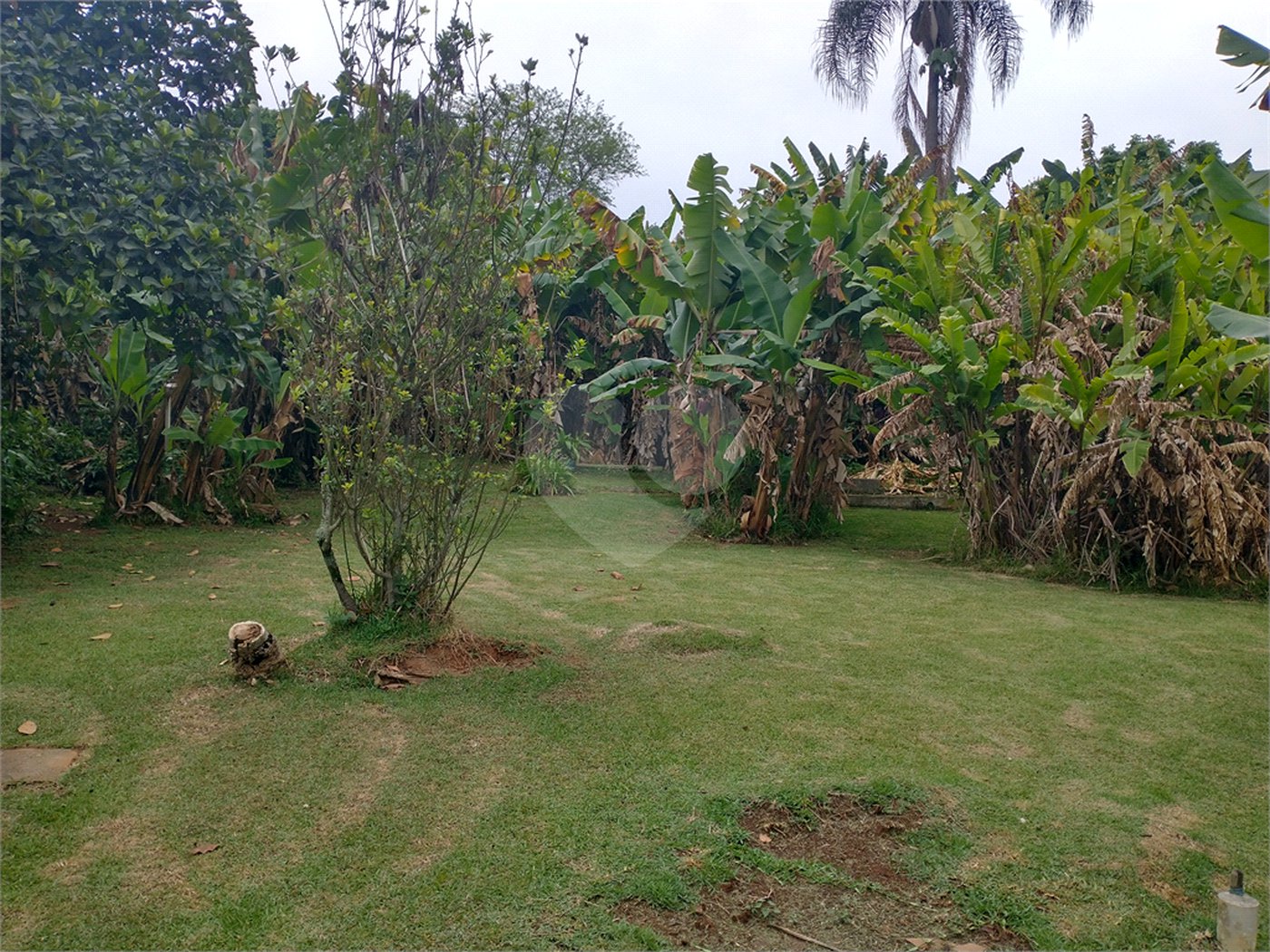Terreno à venda em Jardim Bela Vista, Guarulhos, SP