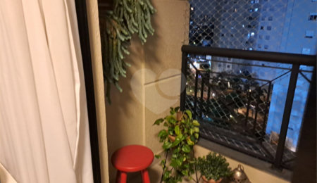 Apartamento à venda com 3 quartos, sendo 1 suíte, em Mandaqui, São Paulo, SP
