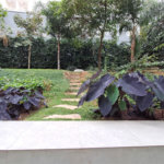 Apartamento à venda ou para alugar com 1 quarto em Vila Pompéia, São Paulo, SP