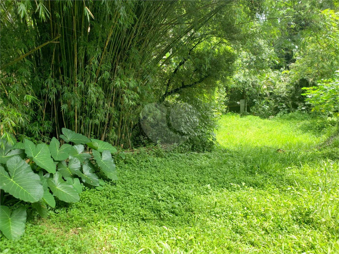 Terreno à venda em Horto, São Paulo, SP