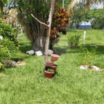 Sitio para venda.