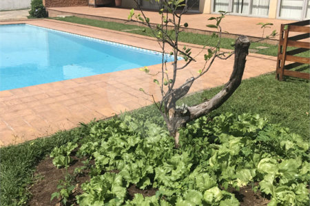 Sobrado à venda com 5 quartos, sendo 1 suíte, em Jardim São Bento, São Paulo, SP