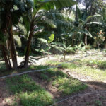 Chácara à venda com 8 quartos em Parque Piratininga, Itaquaquecetuba, SP