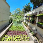 Apartamento à venda com 3 quartos, sendo 1 suíte, em Água Branca, São Paulo, SP