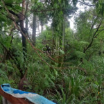 Terreno à venda em Recanto do Jataí, Sorocaba, SP
