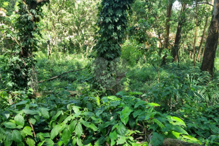 Terreno à venda no condomínio Horto do Ypê, São Paulo - SP