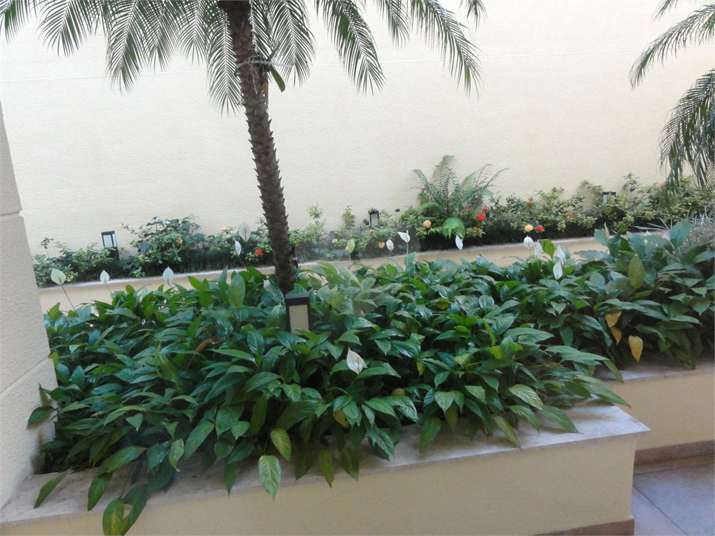 Apartamento à venda com 1 quarto em Casa Verde, São Paulo, SP