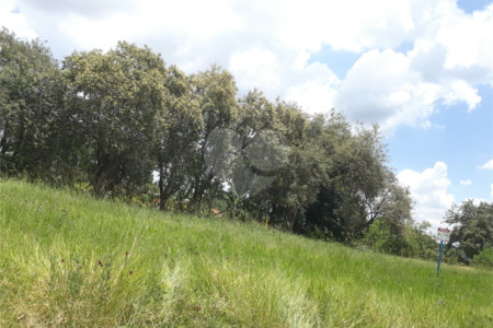 Chácara Rodovia Indaiatuba/ Monte Mor