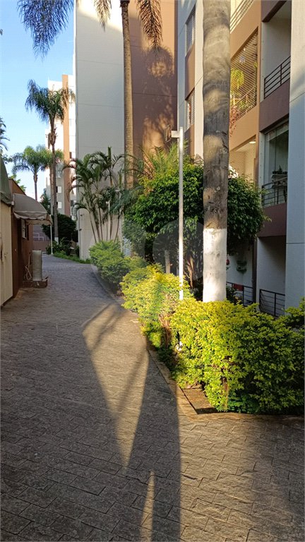 Apartamento à venda com 2 quartos em Vila Nova Cachoeirinha, São Paulo, SP