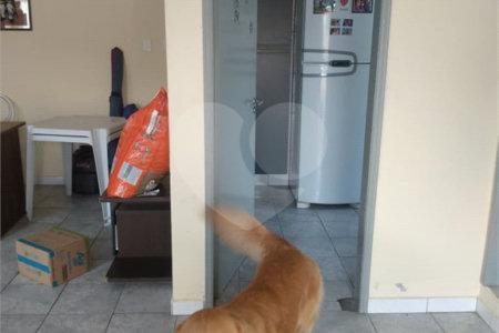 Sobrado à venda com 3 quartos, sendo 1 suíte, em Vila Formosa, São Paulo, SP