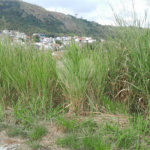 Terreno à venda no condomínio Residencial Mirela - Lotes e Terrenos, Rio de Janeiro - RJ