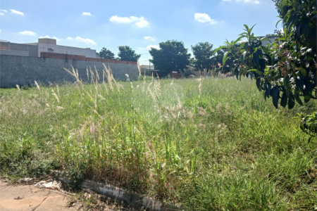 Terreno à venda em Portal dos Pinheiros Ii, Itapetininga, SP