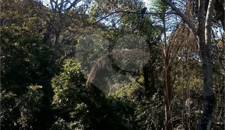 Terreno à venda em Serra da Cantareira, Mairiporã, SP