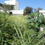 Terreno à venda em Jardim São Bento, São Paulo, SP