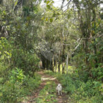 Sítio à venda com 5 quartos, sendo 1 suíte,  em Área Rural de Tapiraí, Tapiraí, SP