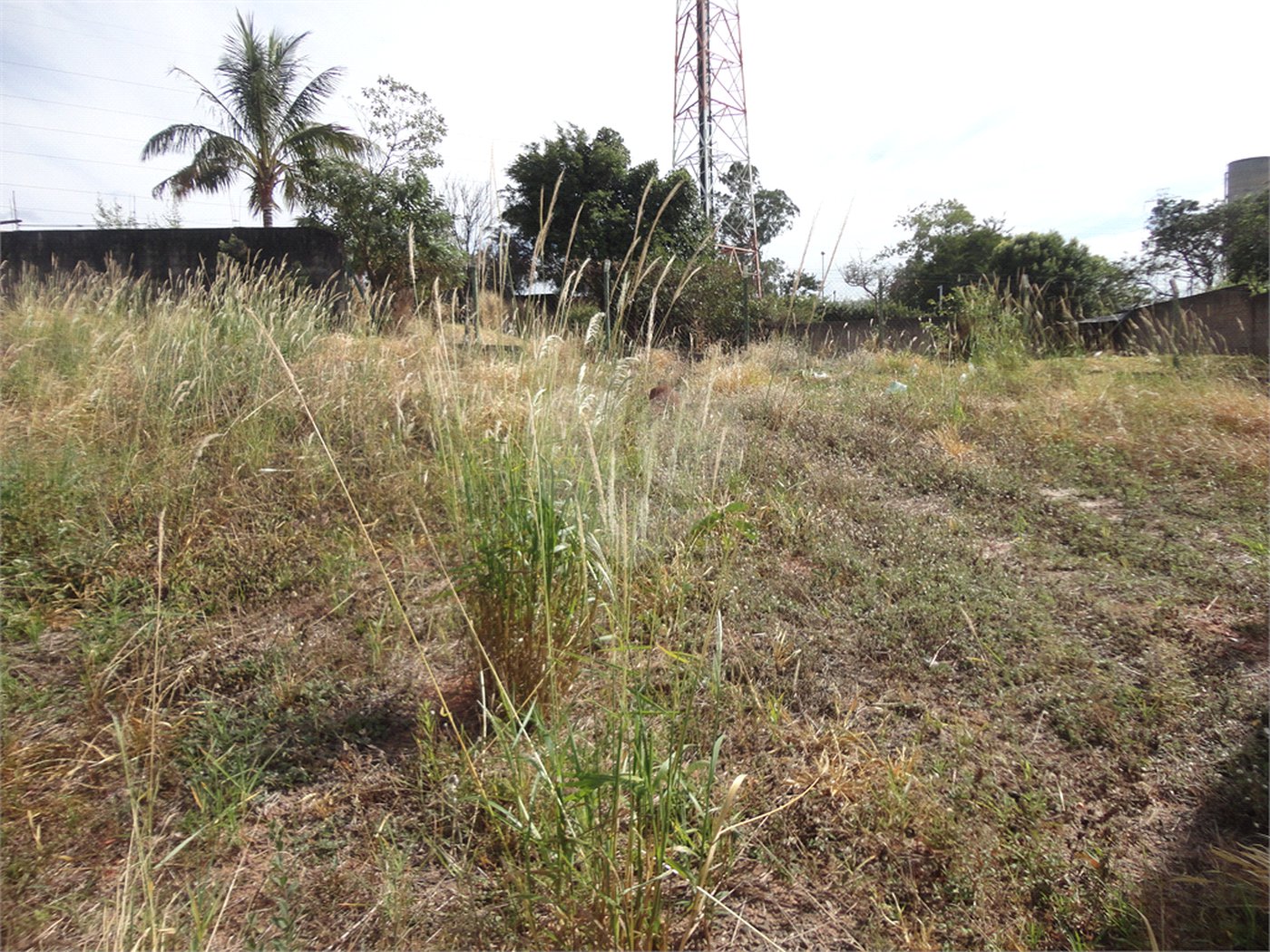 Terreno à venda em Vista Alegre, Vinhedo, SP