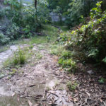 Terreno à venda em Jaçanã, São Paulo, SP