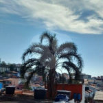 Casa Térrea à venda com 2 quartos, sendo 1 suíte, em Jardim São Ricardo, Guarulhos, SP