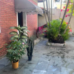 Casa Térrea à venda com 3 quartos, sendo 1 suíte, em Jardim São Paulo(zona Norte), São Paulo, SP