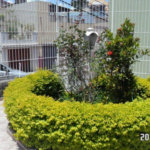 Apartamento à venda com 2 quartos, sendo 1 suíte, em Parada Inglesa, São Paulo, SP
