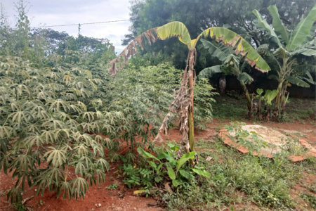 Chácara à venda com 2 suítes em Mato Seco, Itapetininga, SP