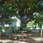 Casa à venda com 4 quartos, sendo 2 suítes, no condomínio Primavera, Salto - SP