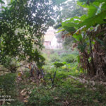 Terreno à venda com 3 quartos, sendo 1 suíte, em Tremembé, São Paulo, SP