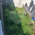 Terreno à venda em Vila Suissa, Mogi das Cruzes, SP