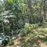 Terreno à venda no condomínio Cantareira, Mairiporã - SP