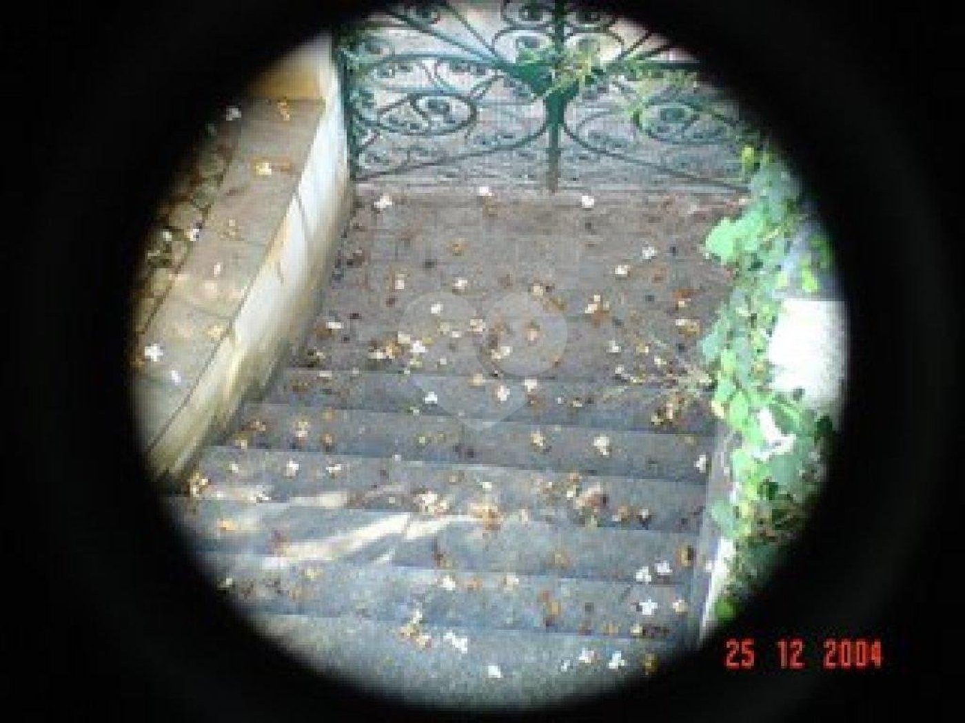 Casa à venda ou para alugar com 5 suítes em Jardim São Bento, São Paulo, SP