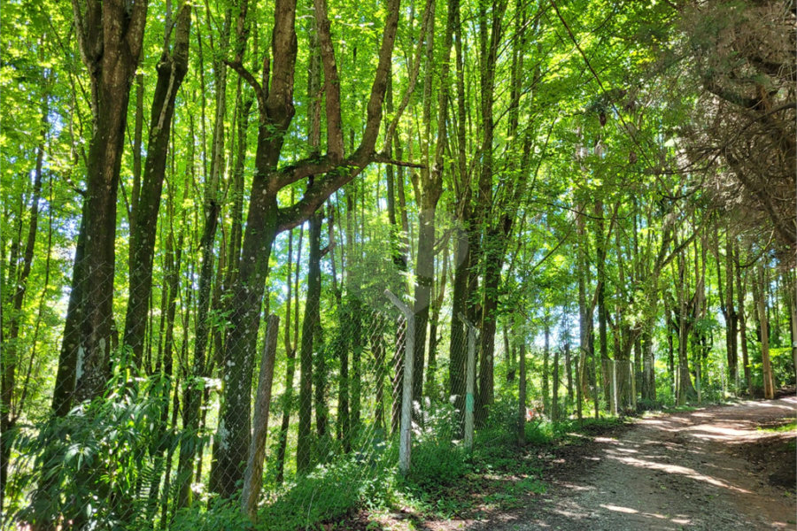 Terreno à venda no condomínio Cantareira, Mairiporã - SP