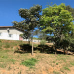 Casa à venda com 3 quartos, sendo 1 suíte, em Olho D'água, Mairiporã, SP