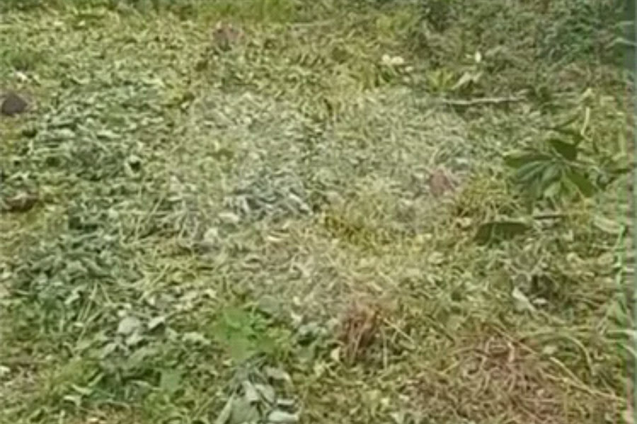 Terreno à venda em Costa do Sol, Bertioga, SP
