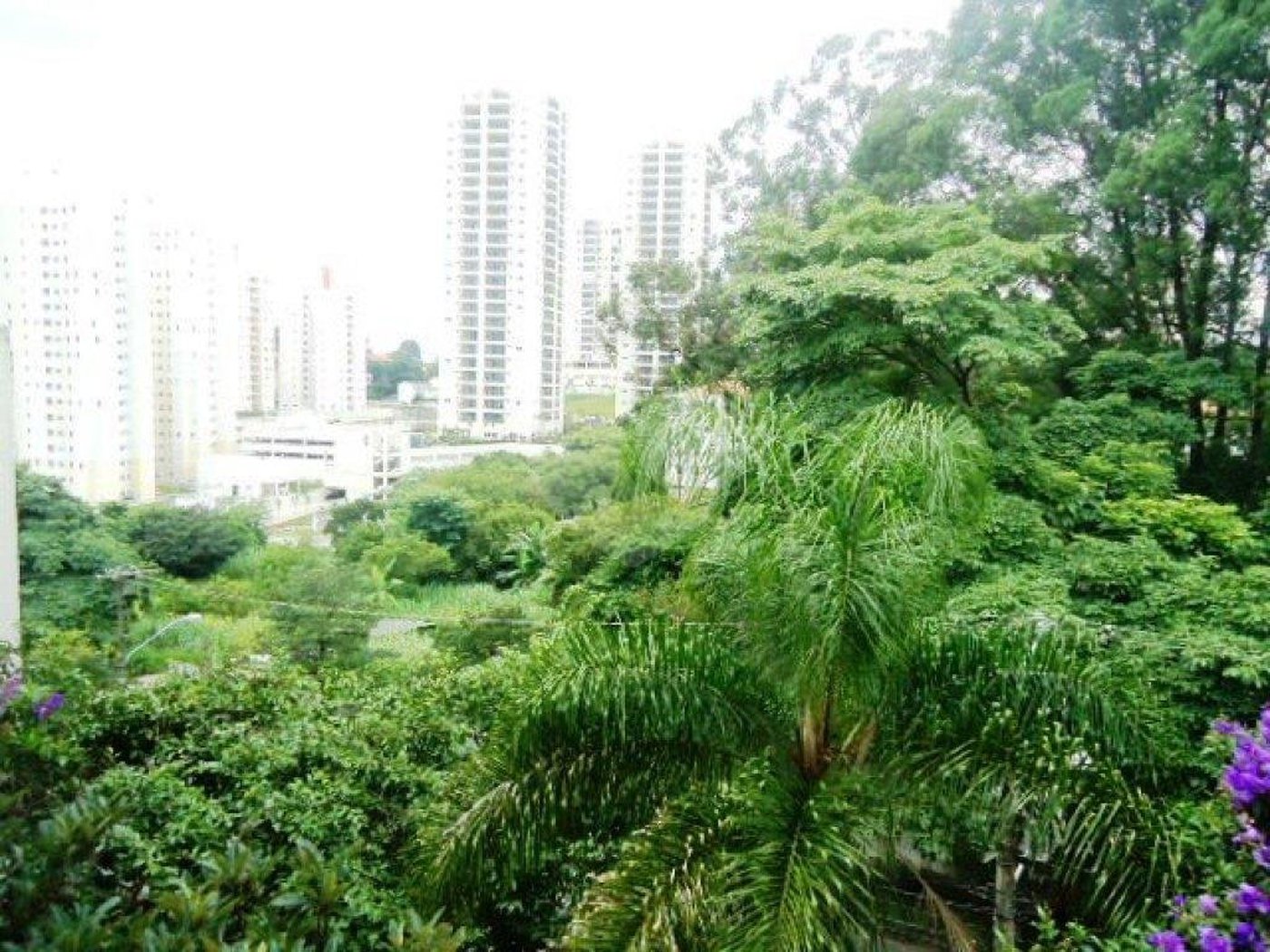 Apartamento à venda com 3 quartos em Barro Branco (zona Norte), São Paulo, SP
