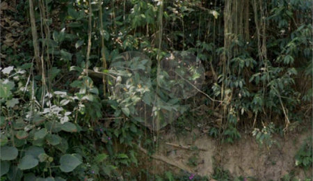 Terreno à venda em Tremembé, São Paulo, SP