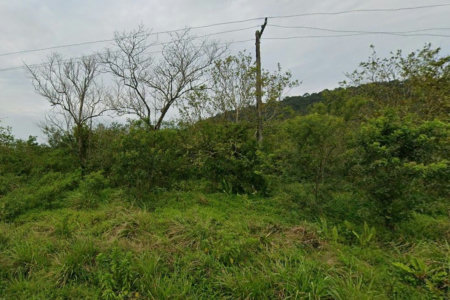 Terreno à venda, 10000 m² por R$ 8.500.000,00 - Cing - Guarujá/SP