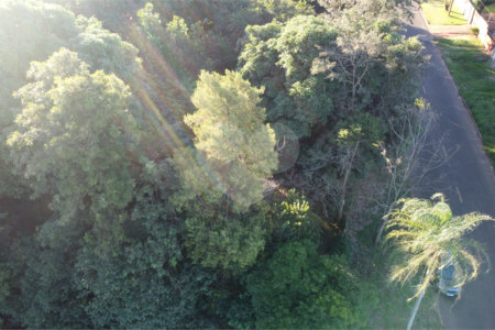 Terreno à venda em Jardim dos Estados, Ponta Porã, MS