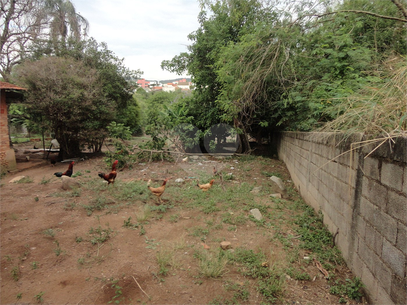 Terreno à venda em Pinheirinho, Vinhedo, SP