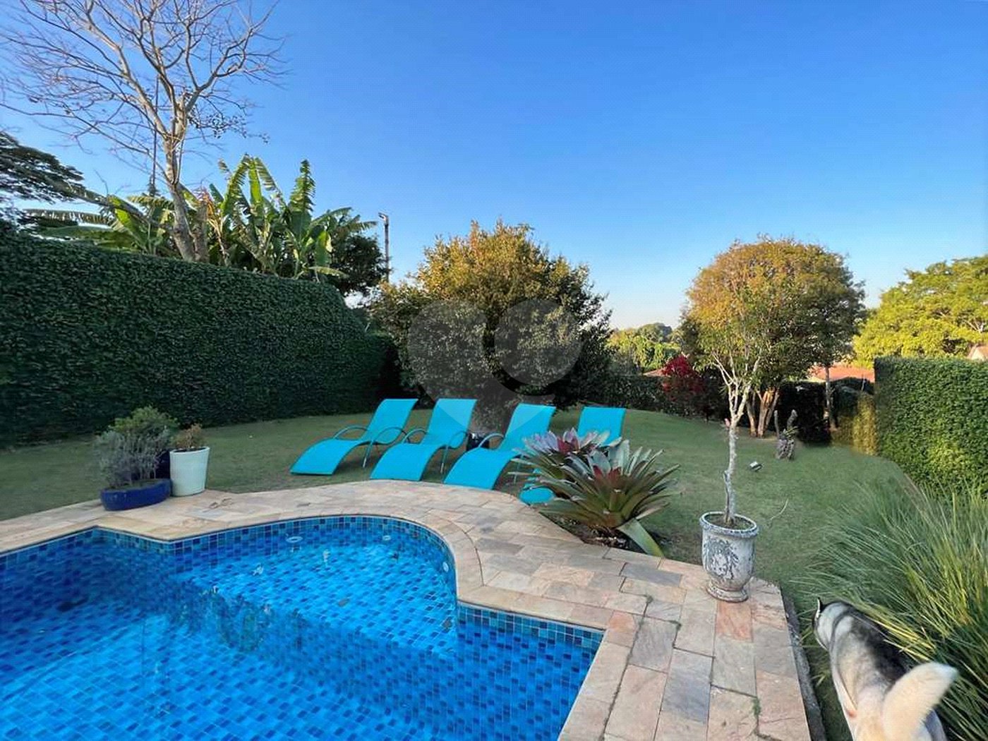 Casa à venda com 4 suítes em Vila Santo Antônio, Cotia, SP