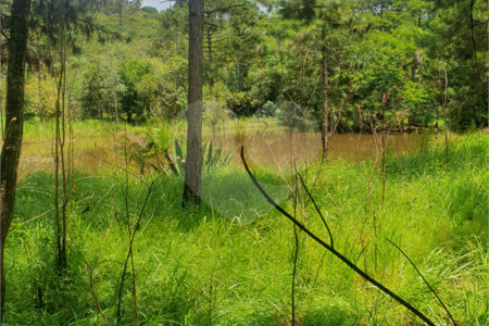 Terreno à venda em Vila Moraes, Mogi das Cruzes, SP