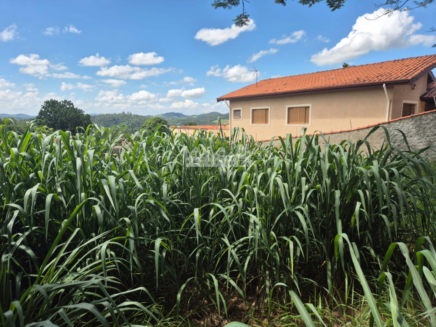 Terreno, 480 m² - Foto 7