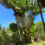 Casa à venda com 4 quartos, sendo 2 suítes, em Ubatiba, Maricá, RJ