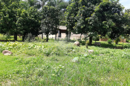 Terreno à venda em Cachoeira, Vinhedo, SP
