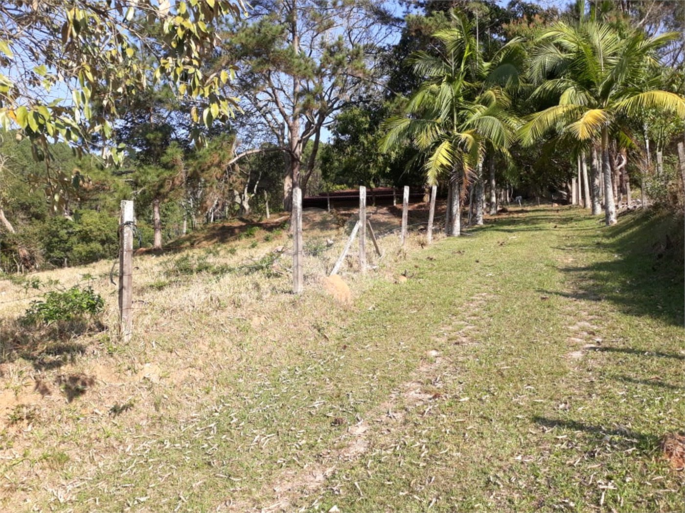 Sítio à venda com 3 quartos em Bairro do Cambará, São Roque, SP