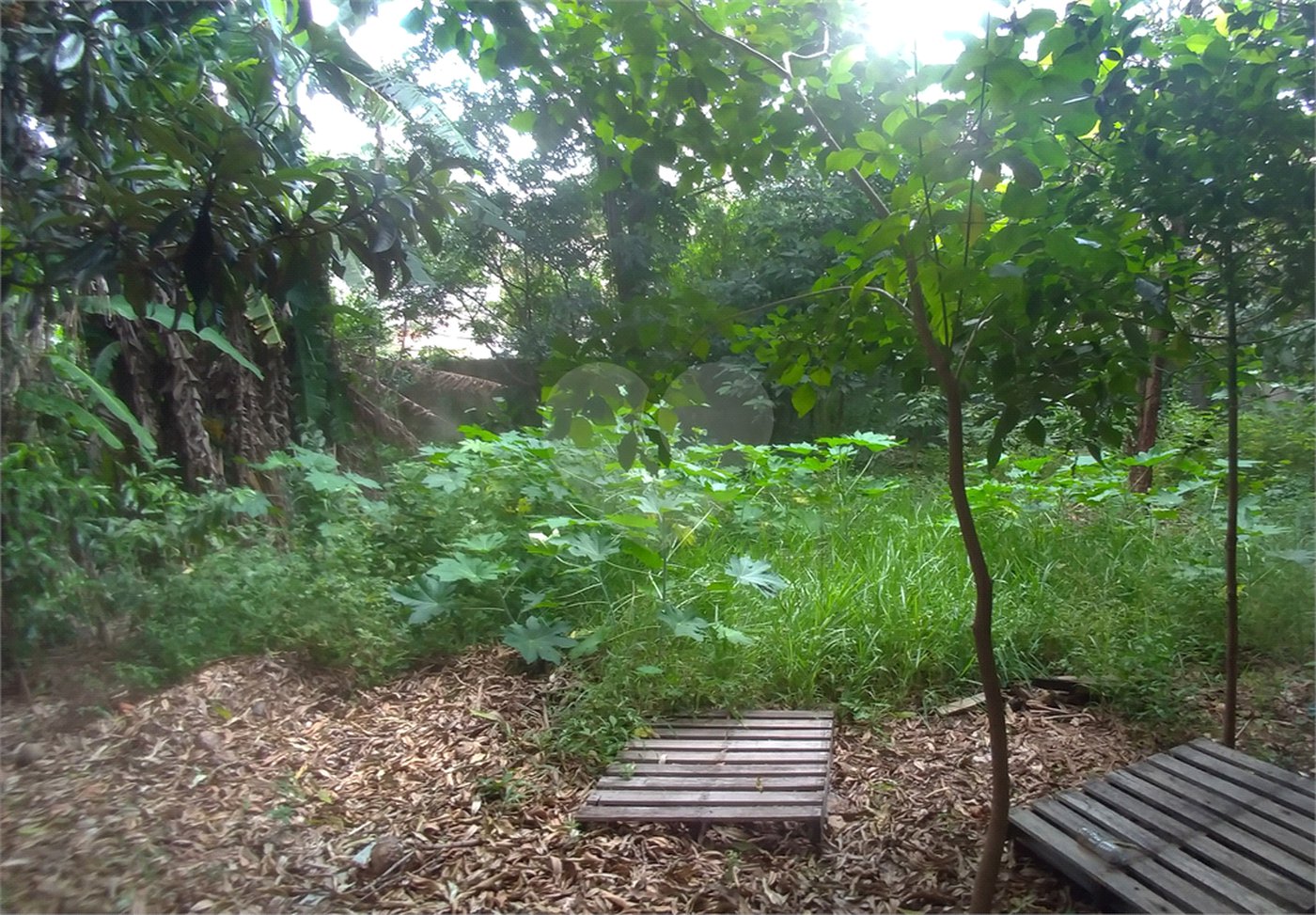Terreno à venda em Casa Verde, São Paulo, SP