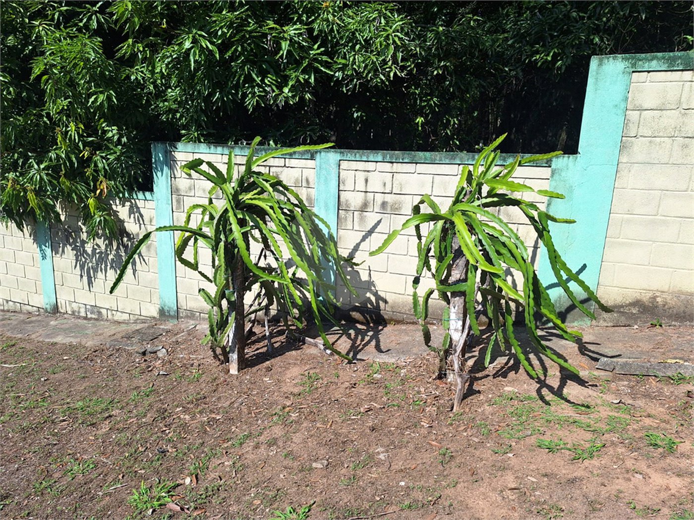Chácara à venda com 1 suíte em Jardim Estância Brasil, Atibaia, SP
