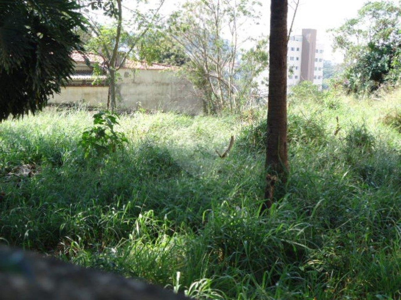 Terreno à venda em Jardim Floresta, São Paulo, SP