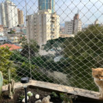 Apartamento à venda com 4 quartos, sendo 2 suítes,  em Água Fria, São Paulo, SP