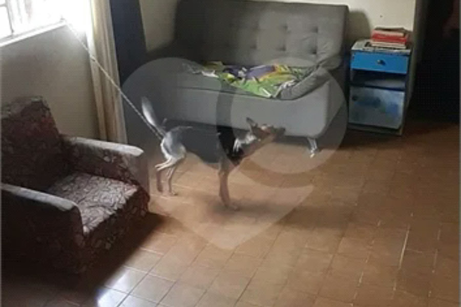 Sobrado à venda com 4 quartos, sendo 2 suítes, em Tremembé, São Paulo, SP