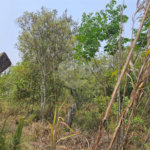 Terreno à venda em Curral, Ibiúna, SP